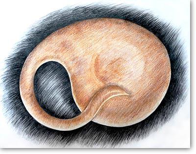 Zeichnung Breze von PS Zeichnung Breze von PS